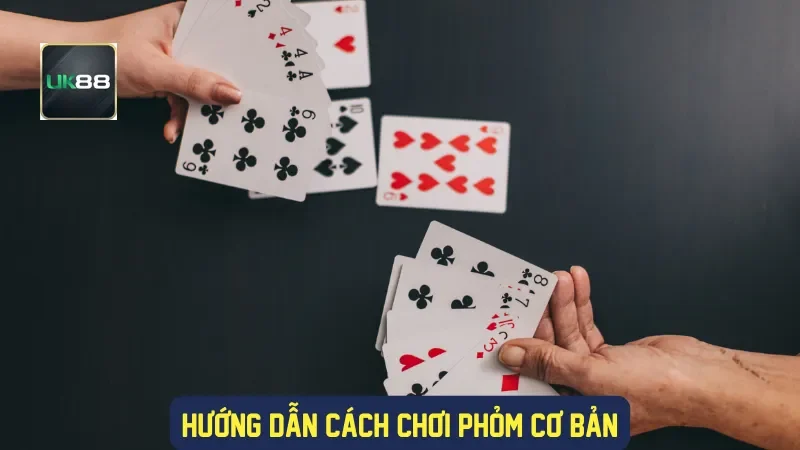 Phỏm Hoàng Kim: Thế Giới Bài Hấp Dẫn, Chiến Thuật Đỉnh Cao 2 Hướng dẫn cách chơi phỏm cơ bản