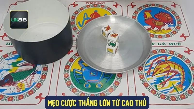 Bầu Cua Hoàng Kim: Trò Chơi Dân Gian Đầy Cuốn Hút Tại Uk88 4 Mẹo cược thắng lớn từ cao thủ
